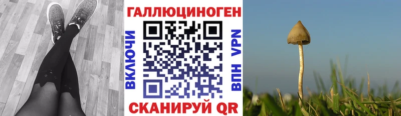 Галлюциногенные грибы GOLDEN TEACHER  Купить закладки  Слободской 